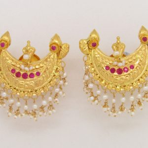 Coorg Stud MJ: 7234172582