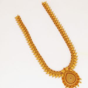 48 ANTQ HARAM: 74820571