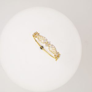 KISNA BNG 0100 : 748208192