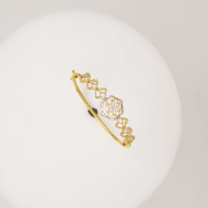 KISNA BNG 0100 : 748223195